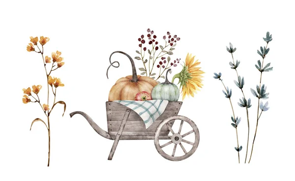 Набор Акварельных Иллюстраций Собирает Овощи Тыквы Тачке Растения Цветы — стоковое фото