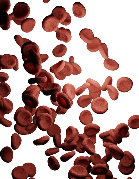 Kırmızı Kan Hücreleri Boyutlu Çizim Stok Resim