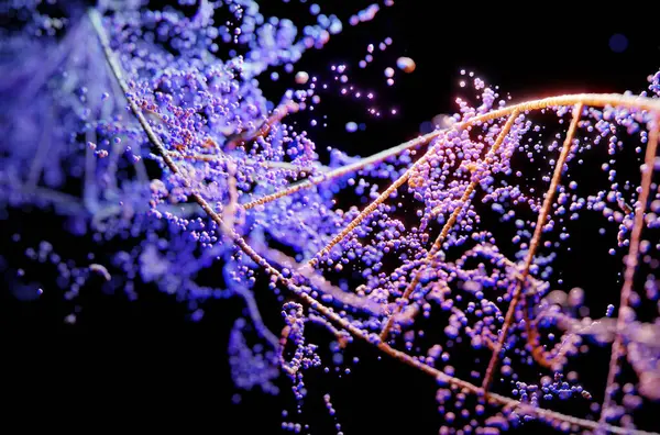 Mavi Neon Işıklı Resimli Dna Sarmalı Kromozom Spiral Ipliği — Stok fotoğraf