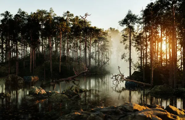 Beautiful Forest Fog Illustration — Stock Photo, Image