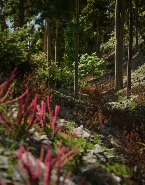 夏の森の道 3Dイラスト — ストック写真