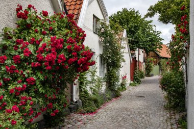 İsveç 'in Visby kentindeki Dar Sokak