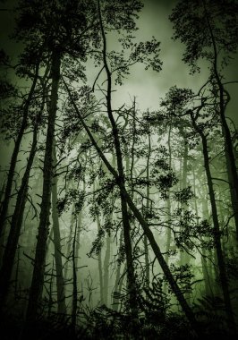 Sisi olan güzel orman, 3 boyutlu illüstrasyon