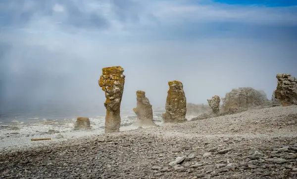 Gotland, İsveç, Avrupa kıyıları. Ünlü kireçtaşı oluşumları.