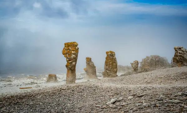 Gotland, İsveç, Avrupa kıyıları. Ünlü kireçtaşı oluşumları.