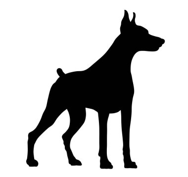 Doberman siluetinin soyut vektör çizimi