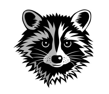 Rakun kafasının soyut vektör çizimi