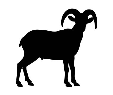 Bighorn koyun siluetinin soyut vektör çizimi