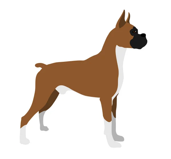 Abstraktní Vektorová Ilustrace Boxerského Psa — Stockový vektor