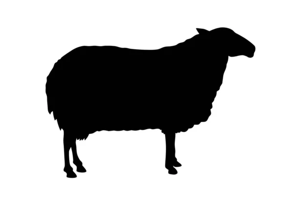 Illustrazione Astratta Vettoriale Della Silhouette Delle Pecore — Vettoriale Stock