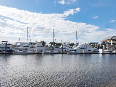 Pensacola Körfezi marinasında çeşitli boyutlarda rıhtım tekneleri var..