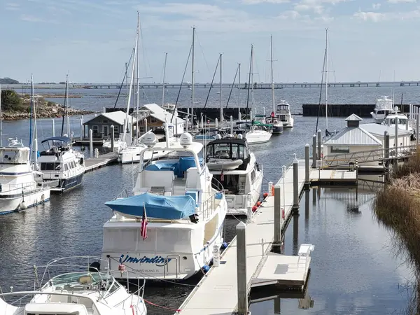 Pensacola Körfezi limanında çeşitli yelkenliler ve motorlu yatlar huzur içinde dinleniyor..
