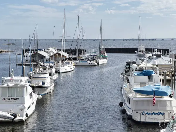 Pensacola Körfezi limanında çeşitli yelkenliler ve motorlu yatlar huzur içinde dinleniyor..