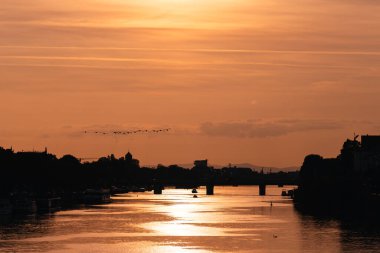 Yansıtıcı bir denizin üzerinde sakin bir günbatımı, uçan siluetli kuşlar..