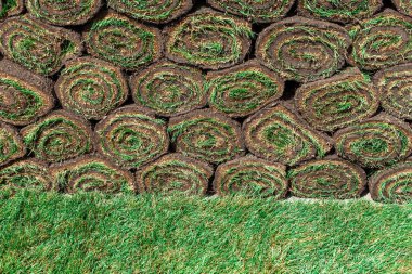 Diğer ruloların arka planında yuvarlanmış yeşil çimenlik rulo