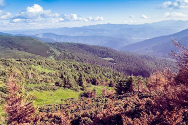 Bir Karpatlar dağından oluşan manzara