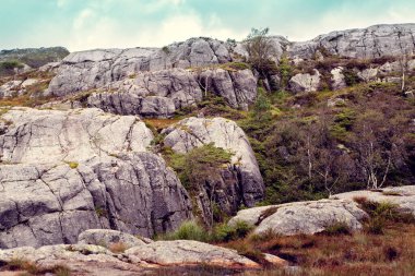Norveç fiyordunun üst görünümü
