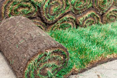 Diğer ruloların arka planında yuvarlanmış yeşil çimenlik rulo