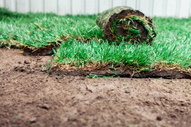 Yeşil bir çimenlikle kaplanmış toprak.