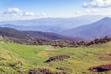 Bir Karpatlar dağından oluşan manzara