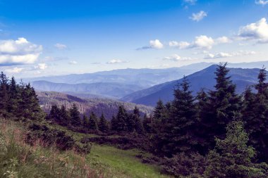Bir Karpatlar dağından oluşan manzara