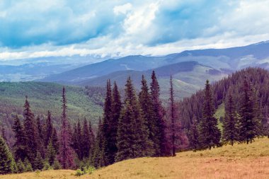 Bir Karpatlar dağından oluşan manzara