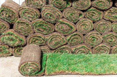 Diğer ruloların arka planında yuvarlanmış yeşil çimenlik rulo