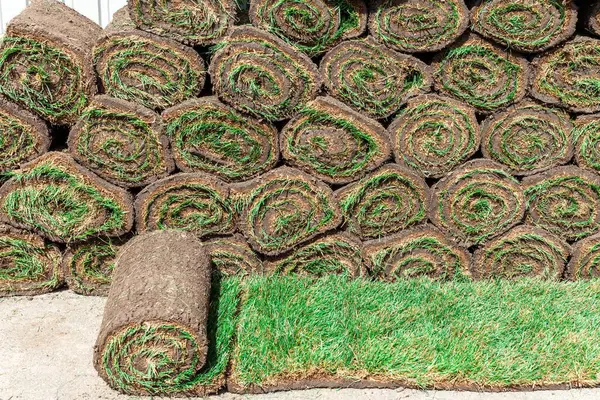 Diğer ruloların arka planında yuvarlanmış yeşil çimenlik rulo