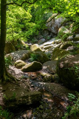 Fransa 'nın başkenti Brittany' deki Huelkeçi Ormanı Le Menage de la Vierge önemli bir yerel cazibe ve jeolojik olaydır..