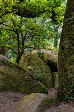 Fransa 'nın başkenti Brittany' deki Huelkeçi Ormanı Le Menage de la Vierge önemli bir yerel cazibe ve jeolojik olaydır..