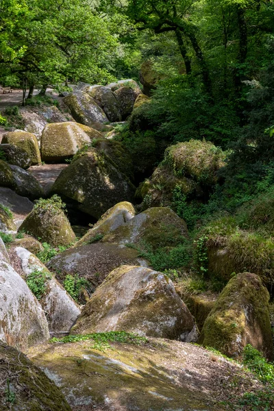 Der Huelgoat Wald Menage Vierge Der Bretagne Frankreich Ist Eine — Stockfoto