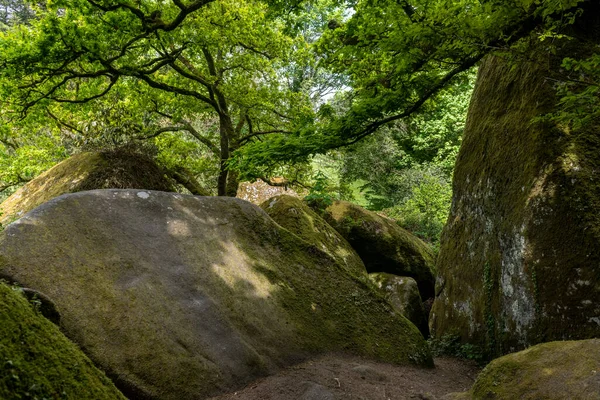 法国布列塔尼的Huelgoat森林是当地一个主要的吸引人的地方和地质现象 — 图库照片