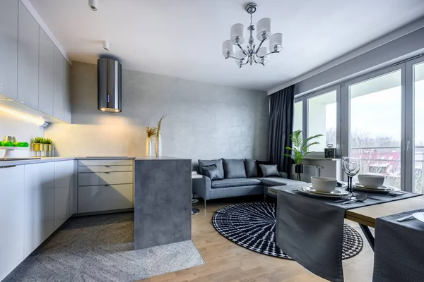 Modernes Interieur Wohnzimmer Mit Offener Küche Kleiner Wohnung — Stockfoto