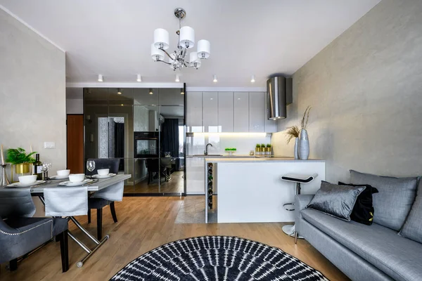 Modern Tasarım Küçük Bir Dairede Açık Mutfağı Olan Oturma Odası — Stok fotoğraf