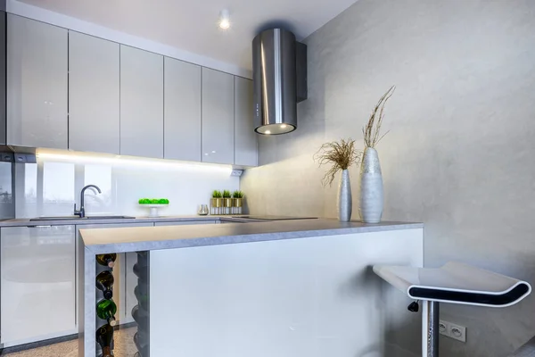 Design Interiores Moderno Cozinha Aberta Pequeno Apartamento Acabamento Branco — Fotografia de Stock