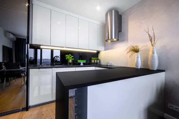 Modern Tasarım Küçük Bir Dairede Açık Mutfak Siyah Beyaz Kaplama — Stok fotoğraf