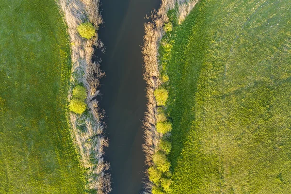 Вид Сверху Маленькую Реку Лину Протекающую Варне Северная Польша Европа — стоковое фото