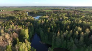 Warmia, Kuzey Polonya ve Avrupa 'daki küçük göl manzarası