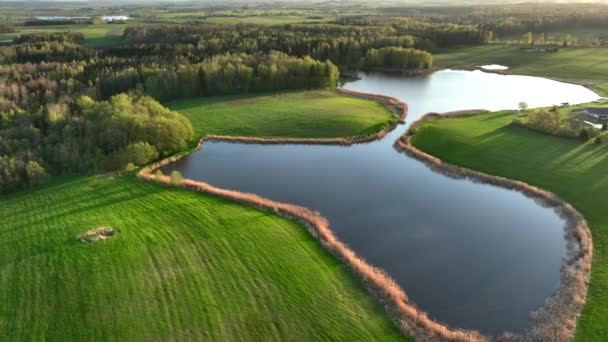 Aerial View Small Lake Warmia Northern Poland Europe — Stock Video