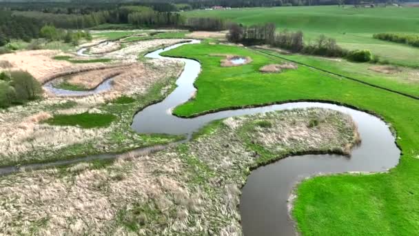 Top View Small River Lyna Flowing Warmia Northern Poland Europe — Stock Video