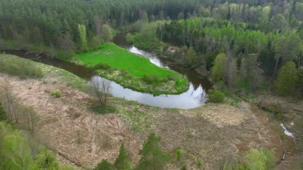Top View Small River Lyna Flowing Warmia Northern Poland Europe — Stock Video