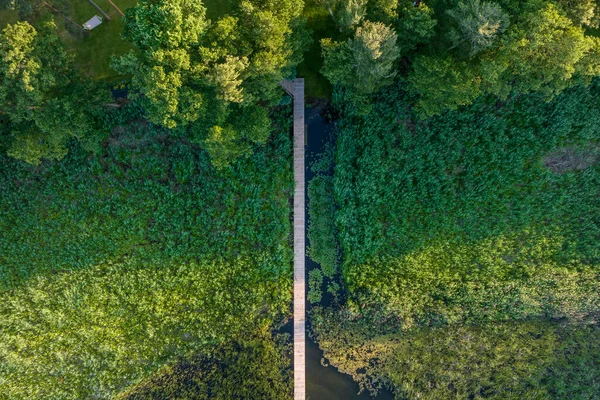 Пешеходный Мост Через Озеро Западе Польши Виден Сверху — стоковое фото