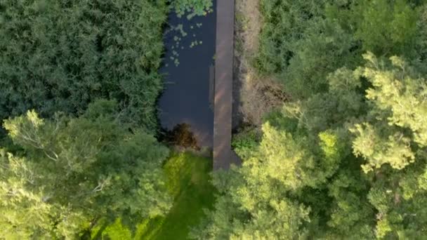 Footbridge Πάνω Από Λίμνη Στη Δυτική Πολωνία Όπως Φαίνεται Από — Αρχείο Βίντεο
