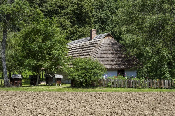 Санок Польша Августа 2023 Года Деревянные Дома Музея Сельской Архитектуры — стоковое фото