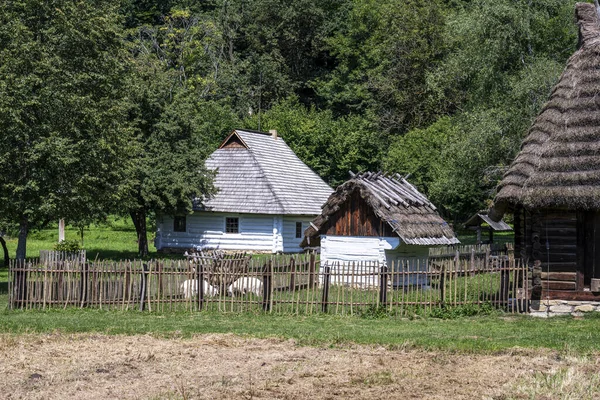 Sanok Poland August 2023 Case Lemn Ale Muzeului Arhitectură Rurală — Fotografie, imagine de stoc
