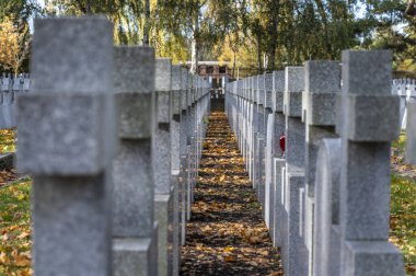 Powazki, Varşova, Polonya 'da satırları işaretlenmemiş mezar taşları
