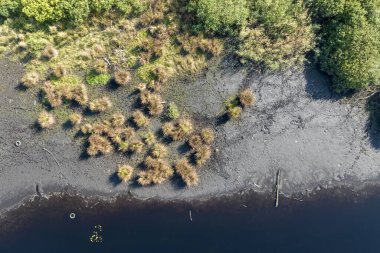 Varşova, Polonya, Avrupa yakınlarındaki Jacek adlı Ulusal Park Bataklığının havadan görünüşü