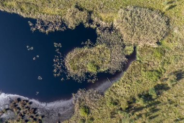 Varşova, Polonya, Avrupa yakınlarındaki Jacek adlı Ulusal Park Bataklığının havadan görünüşü