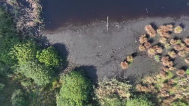 Varşova, Polonya, Avrupa yakınlarındaki Jacek adlı Ulusal Park Bataklığının havadan görünüşü