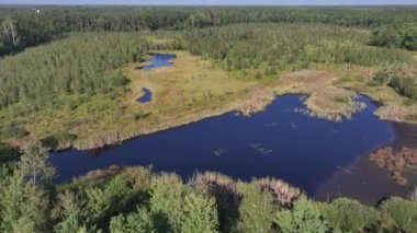 Varşova, Polonya, Avrupa yakınlarındaki Jacek adlı Ulusal Park Bataklığının havadan görünüşü